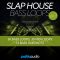 Baltic Audio Slap House Bass Loops Vol.3 [WAV, MiDi] (Premium)