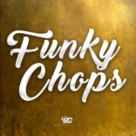 Big Citi Loops Funky Chops [WAV] (Premium)