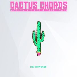 Dynasty Loops Cactus Chords [WAV] (Premium)