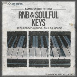 Famous Audio RnB and Soulful Keys [WAV, MiDi] (Premium)