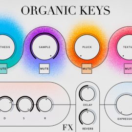 UVI Organic Keys [Falcon] (Premium)
