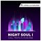 Apollo Sound NightSoul 1 Chill Trap and Future RnB [WAV, MiDi, KONTAKT] (Premium)