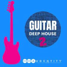 Audentity Records Guitar Deep House 2 [WAV] (Premium)