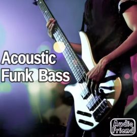 AudioFriend Acoustic Funk Bass [WAV] (Premium)