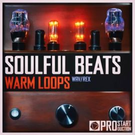 Beatrising Soulful Beats Warm Loops [WAV] (Premium)