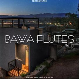 Dynasty Loops Bawa Flutes 10 [WAV] (Premium)