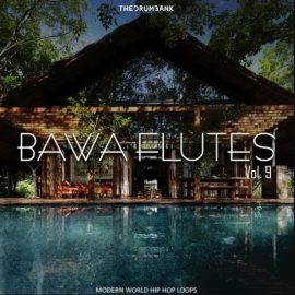 Dynasty Loops Bawa Flutes 9 [WAV] (Premium)