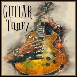 Innovative Samples Guitar Tunez [WAV] (Premium)