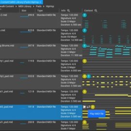 Music Developments Fyler v1.0.3 [WiN] (Premium)
