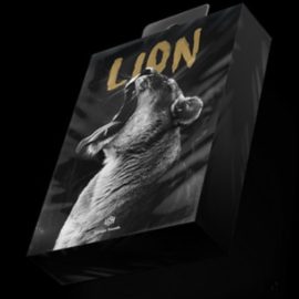 Savage Sounds Lion Progressive House Sample Pack [WAV, Synth Presets] (Premium)