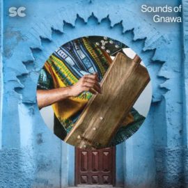 Sonic Collective Sounds of Gnawa [WAV] (Premium)