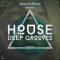 Soundbox House Deep Grooves [WAV, REX] (Premium)