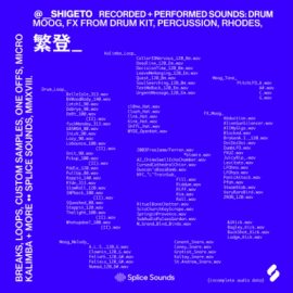 Splice Sounds Shigeto Sample Pack [WAV] (Premium)