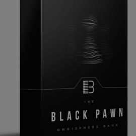 Brandon Chapa Black Pawn [Synth Presets] (Premium)