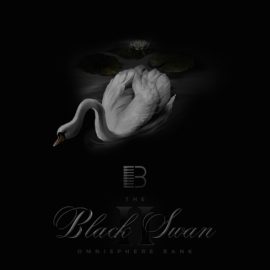 Brandon Chapa Black Swan ll [Synth Presets] (Premium)