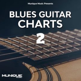 Innovative Samples Blues Guitar Charts 2 [WAV] (Premium)