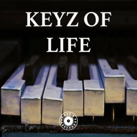 Loops 4 Producers Keyz Of Life [WAV] (Premium)