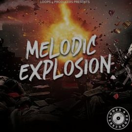 Loops 4 Producers Melodic Explosion [WAV] (Premium)