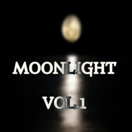 Loops 4 Producers Moonlight Vol.1 [WAV] (Premium)