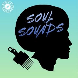 Loops 4 Producers Soul Sounds [WAV] (Premium)