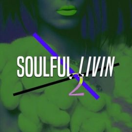 Loops 4 Producers Soulful Livin 2 [WAV] (Premium)