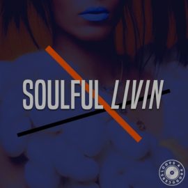 Loops 4 Producers Soulful Lovin [WAV] (Premium)
