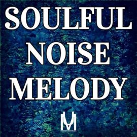 Loops 4 Producers Soulful Noise Melody [WAV] (Premium)