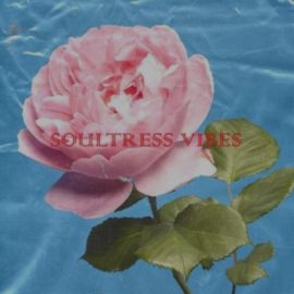 Loops 4 Producers Soultress [WAV] (Premium)