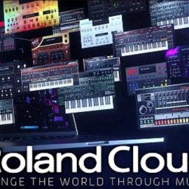Roland Cloud Bundle 11 in 1 [Synth Presets] (Premium)