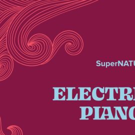 Roland Cloud SuperNATURAL Electric Piano 1 [Synth Presets] (Premium)