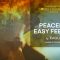 Truefire Tyler Grant’s Song Lesson: Peaceful Easy Feeling [TUTORiAL] (Premium)
