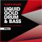 Villem Samples and Sound Liquid Gold Drum and Bass Vol.2 [WAV] (Premium)