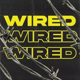 Ztar Audio Wired [WAV] (Premium)