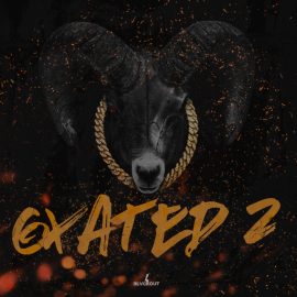 Blvckout Gxated 2 [WAV] (Premium)