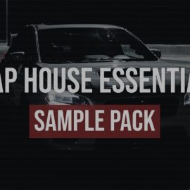 Bullet Sounds Slap House Essentials v13 [WAV, Synth Presets] (Premium)