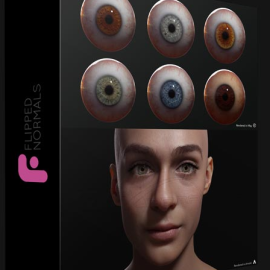 FLIPPED NORMALS – EYE KIT  (Premium)