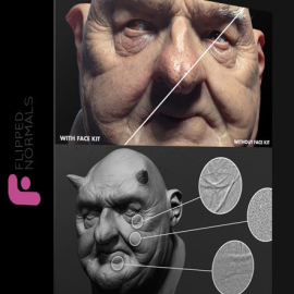 FLIPPED NORMALS – FACE KIT (Premium)