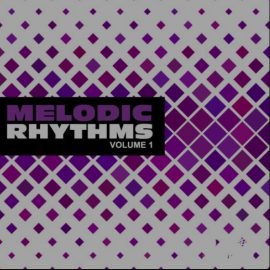 New Beard Media Melodic Rhythms Vol.1 [WAV] (Premium)