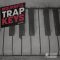 New Beard Media Mournful Trap Keys Vol.1 [WAV] (Premium)