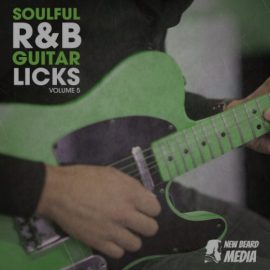 New Beard Media R&B Guitar Licks Vol.5 [WAV] (Premium)