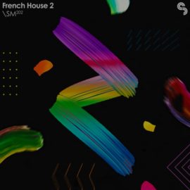 Sample Magic French House 2 [WAV, Synth Presets] (Premium)