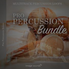 Steinberg Pro Percussion Bundle [DAW Addons] (Premium)