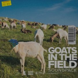 Stve Lawrence Goats In The Field [WAV] (Premium)