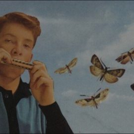 Udemy Learn 15 Tunes On Harmonica With Zero Harmonica Experience [TUTORiAL] (Premium)