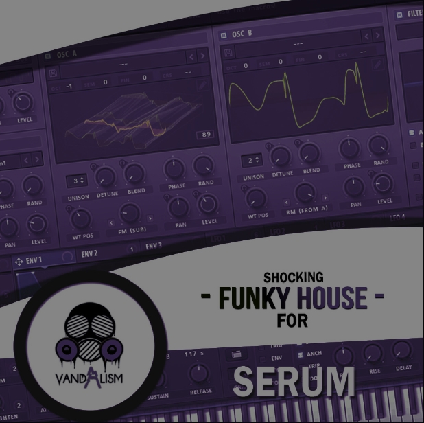 Vandalism Sounds Shocking Funky House For Serum [Synth Presets]