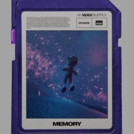 WavSupply Dynox Memory (Serum Bank) [Synth Presets] (Premium)