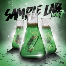 2DEEP Sample Lab Vol.7 [WAV] (Premium)