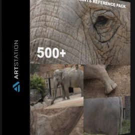 ARTSTATION – 500+ RHINO AND ELEPHANTS – PACK RÉFÉRENCES BY THEO BAUDOIN (Premium)
