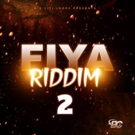 Big Citi Loops Fiya Riddim 2 [WAV] (Premium)