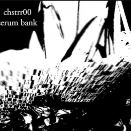 Chstrr00 Remakes SERUM BANK Vol.1 [Synth Presets] (Premium)